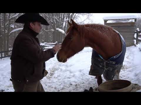 Steve Lantvit- STOPS HAY WASTE