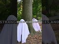 Shocking Truth About France's Most Mysterious Commune #shorts #facts