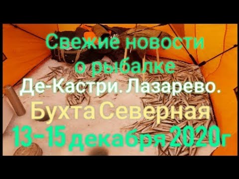 Свежая информация ❗о