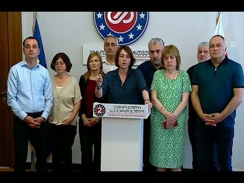 ოპოზიციის შეფასება „ქართული ოცნების“ ინიციატივაზე