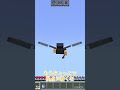 エリトラの耐久値が無くなった時の違い #ひかちゃんねる #マイクラ#shorts