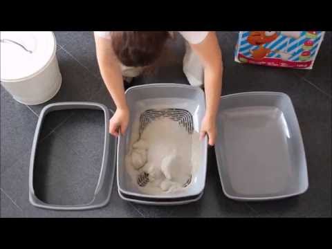 kmart kitty litter tray