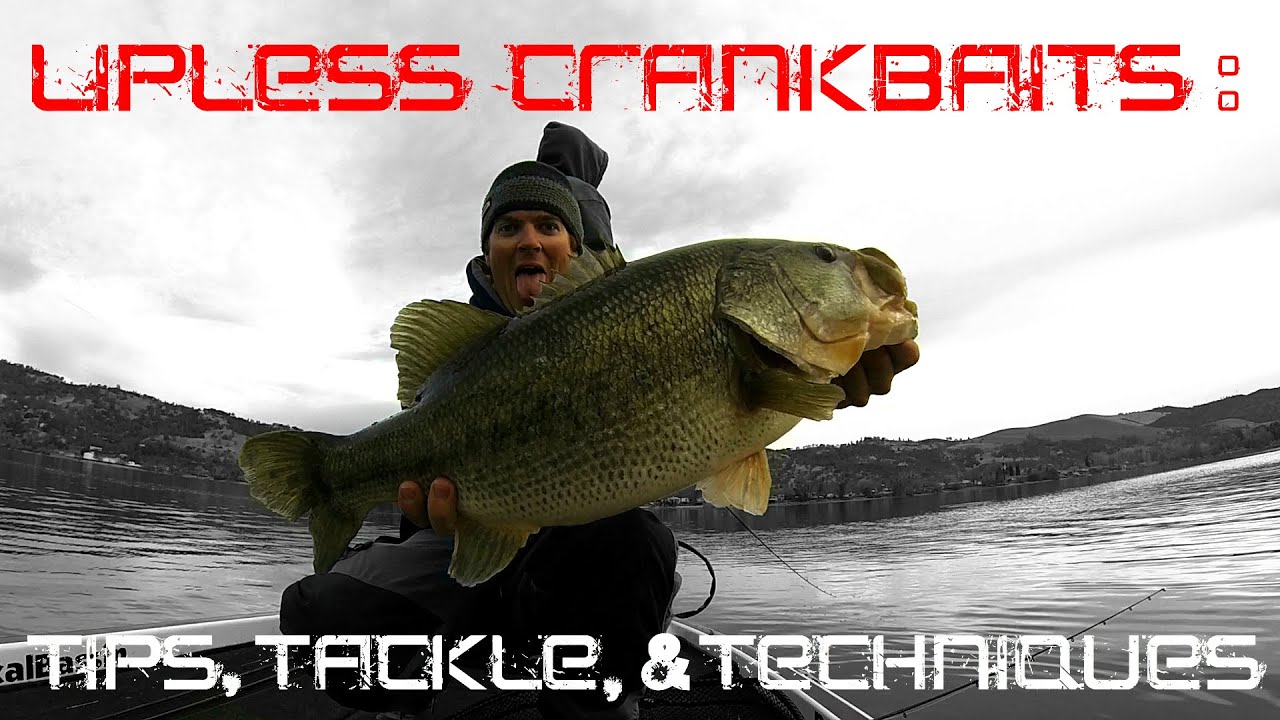 Lipless Crankbaits: Tips, Tackle, and Techniques for Fall and Winter 