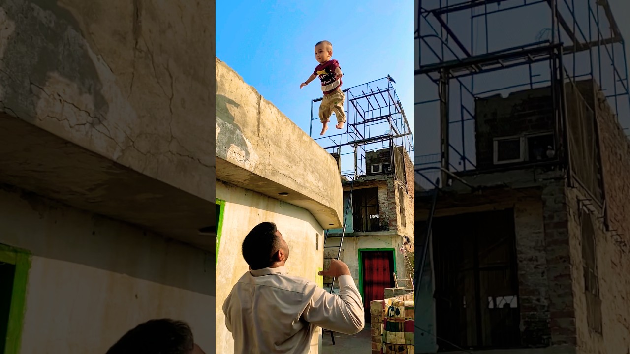 Dodo 🦤 super cute little baby dodo 🦤 cute baby dodo 🦤 