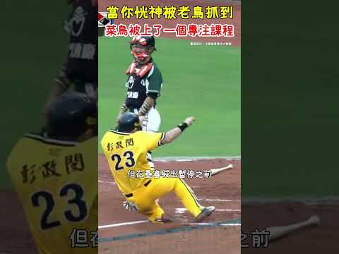 陳傑憲恍神剛好被老鳥抓到 #shorts #中華職棒 #cpbl #陳傑憲