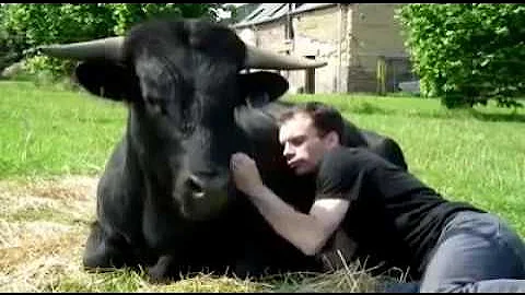 Saved from the run and their beautiful friendship ...