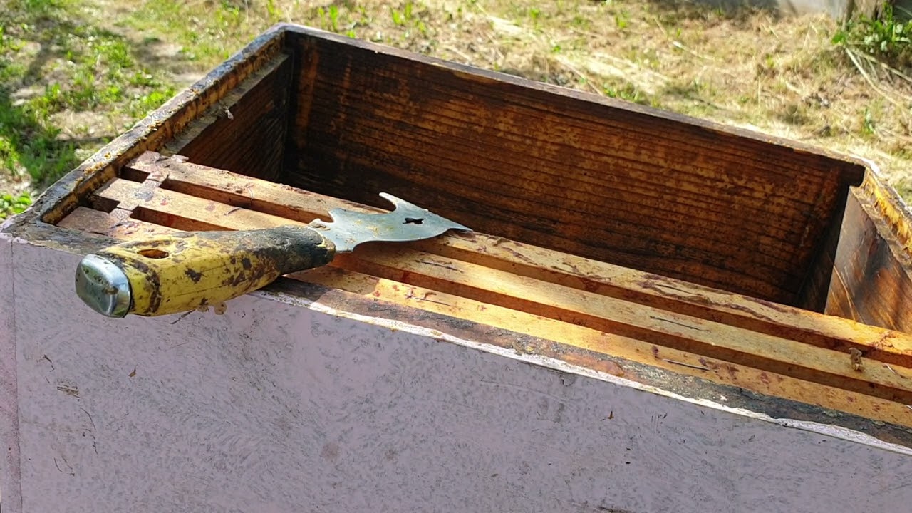 STRESANJE ZA BAGREM. 8.O5.2022.