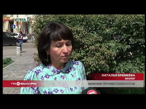 Мнения экспертов: чем грозит экосистеме Байкала сплошная вырубка лесов