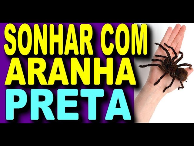 Significado de sonhar com aranha - Sonhos Angels