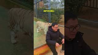 A TIGER surprised this man from behind… but NO ONE expected what happened next…