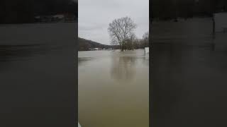 2019 Tennessee River flood at Perryville
