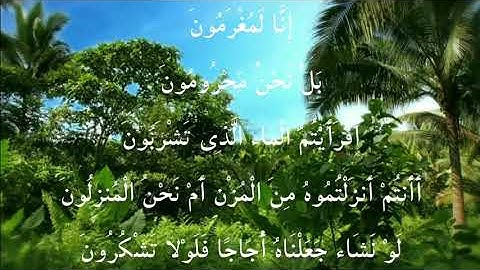 ما تيسر من سورة الواقعة للقاريء عادل يحيى