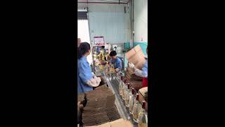 Download lagu Baijiu production workshop in Fengxian, China
