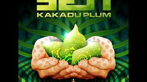 Yeti-Initialization Sequence