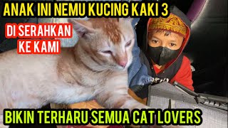 Ajaib Mengharukan Anak Kecil Nemu Kucing Kaki 3 Di Serahkan Ke Cats Lovers Tv