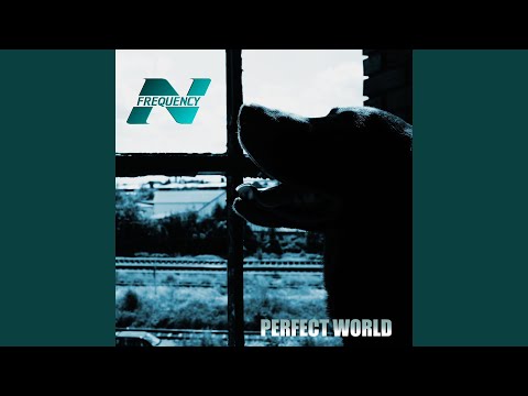 N-Frequency — Perfect World