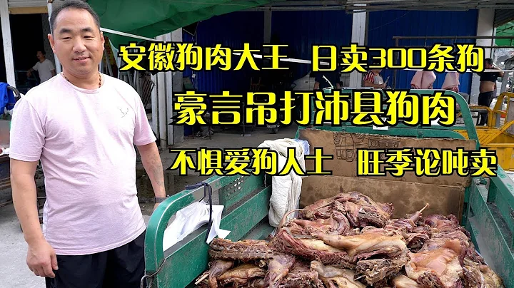 Anhui dog meat king, selling 300 pieces a day, not afraid of dog lovers! - 天天要闻