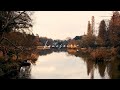 Inokashira Park|Sony α7S III|FE 24-70mm F2.8 GM II
