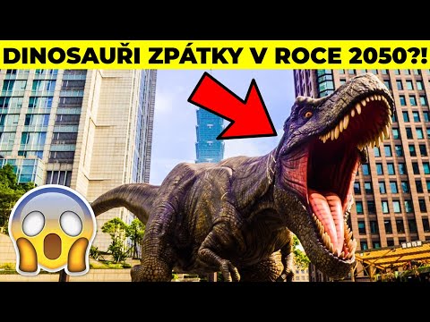 Video: Vrátí se podpalubí v roce 2020?