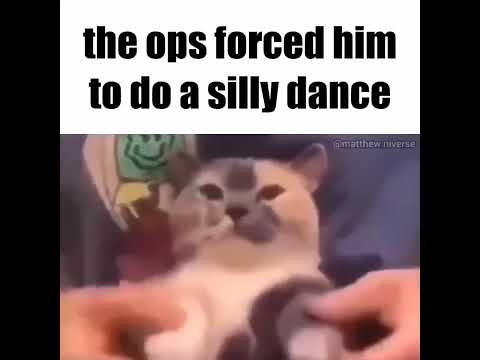 the ops forced him to do a silly dance meme