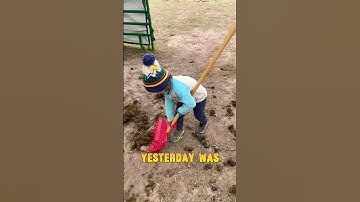 Farm kid chores & their new chore chart! #farmkids #familyfarm