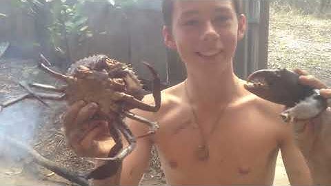 BACON OF THE SEA - Mud Crabs caught BAREHANDED - Catch n Cook | TDB