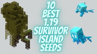 TOP 10 MINECRAFT 1.19 SURVIVAL ISLAND SEEDS (java)