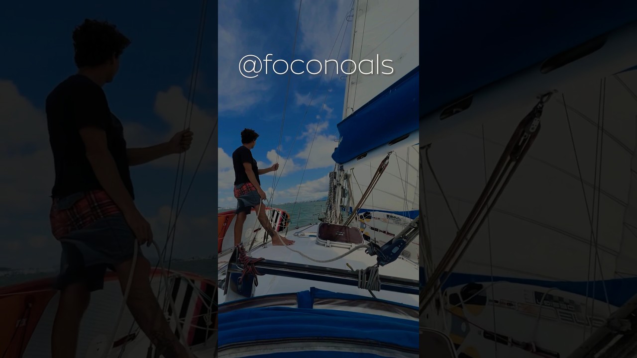 Passeio de Veleiro em Floripa #foconoals