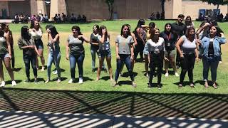 TGB Flash Mob Class of 2018