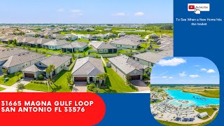 31665 Magna Gulf Loop San Antonio FL 33576