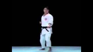 1   Pinan nidan Shito ryu Bunkai