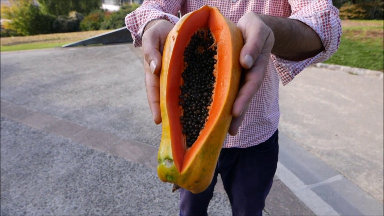 Flóp : quelque chose