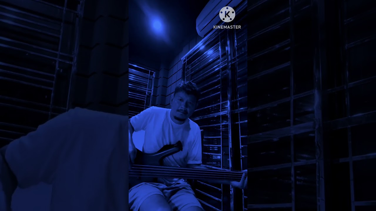 In The End -Linkin Park ( Bass Cover)