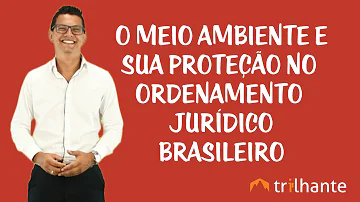Como o meio ambiente se enquadra no nosso ordenamento jurídico e como a sua tutela funciona?