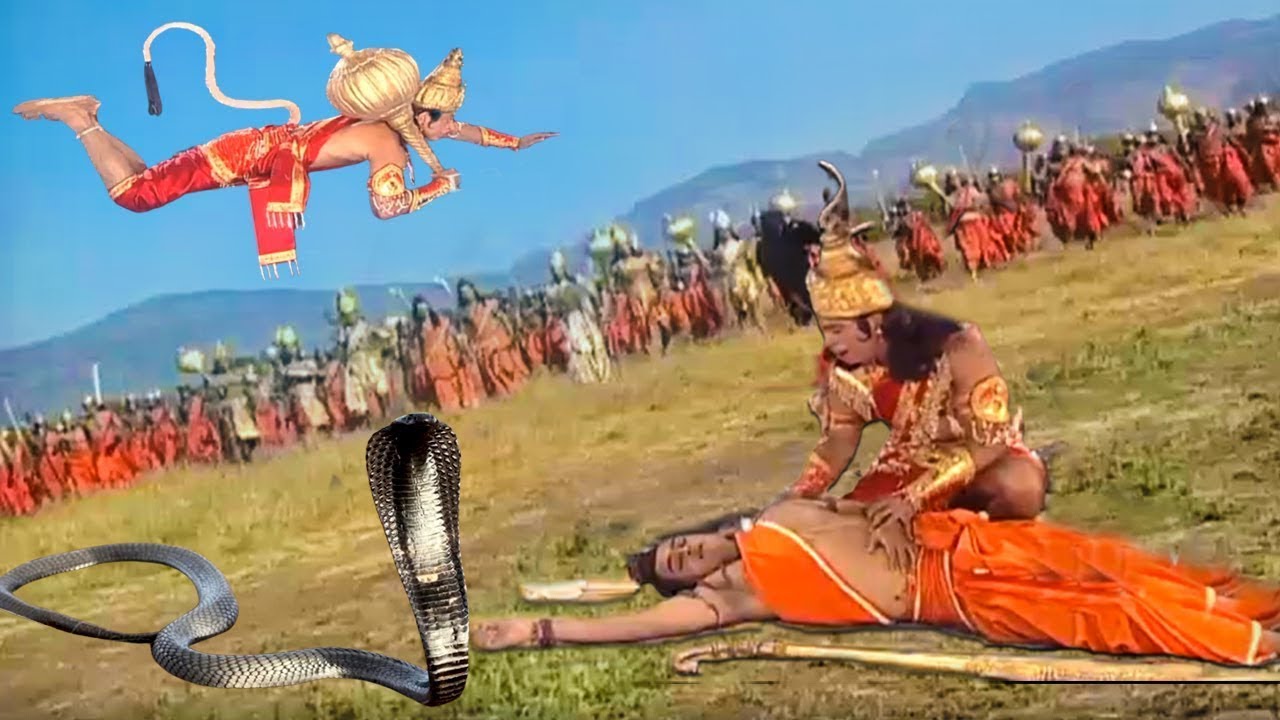 Latest Title & Thumbnail