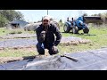 Planting ONIONS With Woven Ground Cover Fabric!
