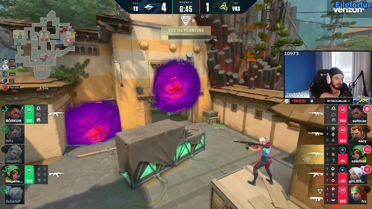 Secret Vikings fileforfur