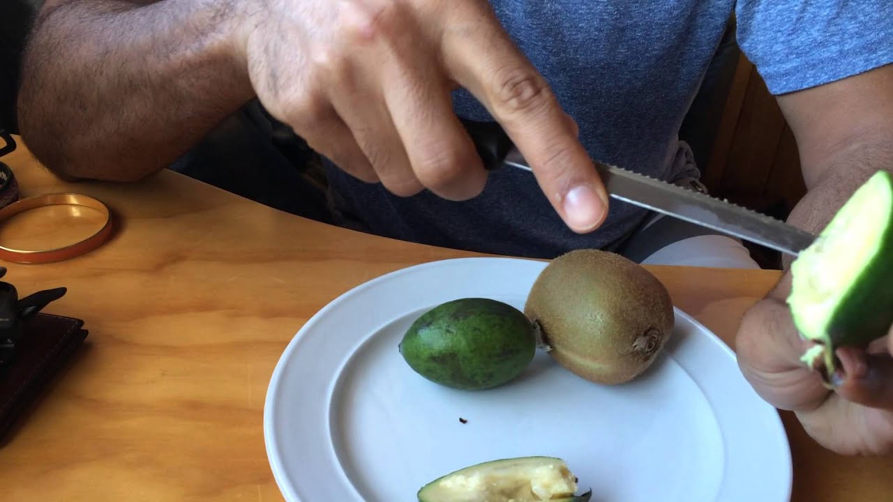 Trying my first Feijoa in New Zealand
