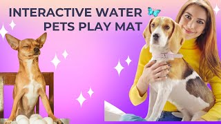 Interactive Water Pets Play Mat | Pets Mat