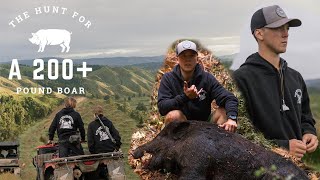 THE HUNT FOR A BIG BOAR | NEW ZEALAND PIG HUNTING