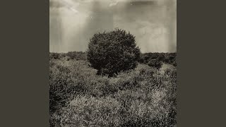 Download Lagu Dear Mister Gurdjieff MP3