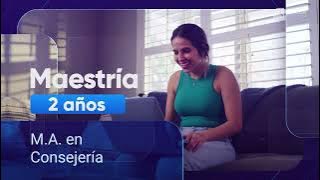 📲 SETECA #elearning