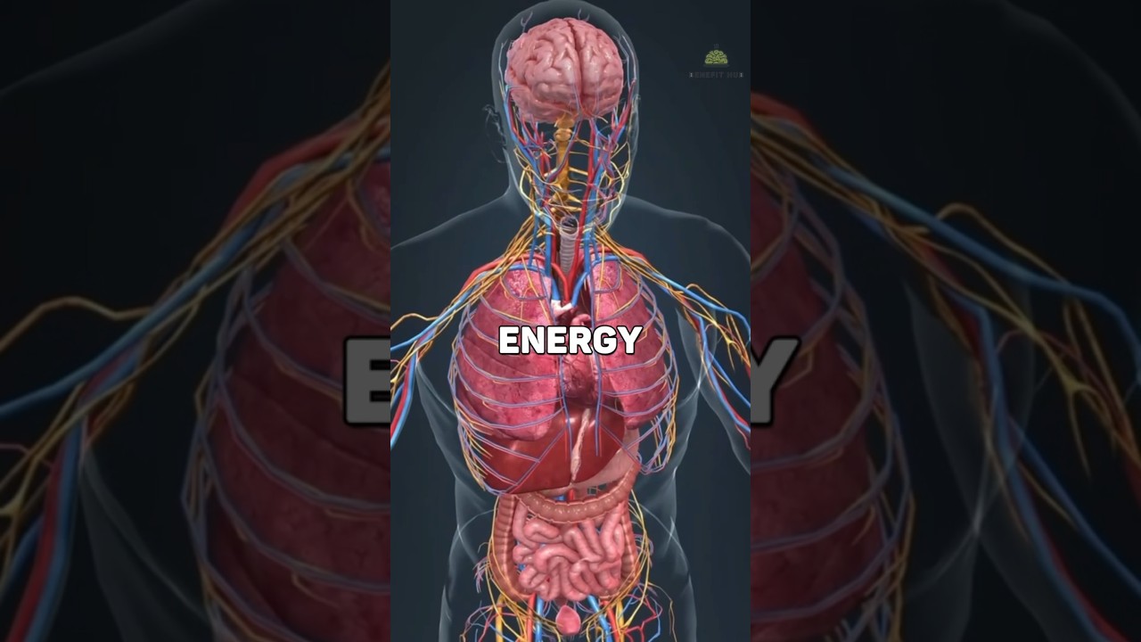Вот почему женщины чувствуют себя измотанными еще до полудня ⚠️