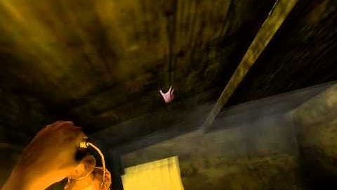 Amnesia - In the Closet