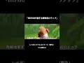 HIPHOP過ぎる動物達のラップ