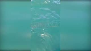 A Hydrocarbon Discharge From The Overturned Vessel Off The Coast Of Cove, Tobago On Wed 12Th June