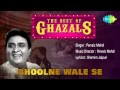 Bhoolne Wale Se | Ghazal Song | Pervaiz Mehdi