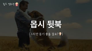 [영화소개/결말선택] 견주덜 오열한다는 🐶 댕댕이의 환생스토리 #안녕베일리