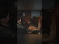 stealth behind Ellie #shorts #tlou2 #ластофас