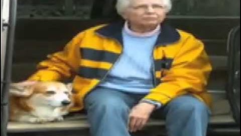 Equine and Canine Structural Integration